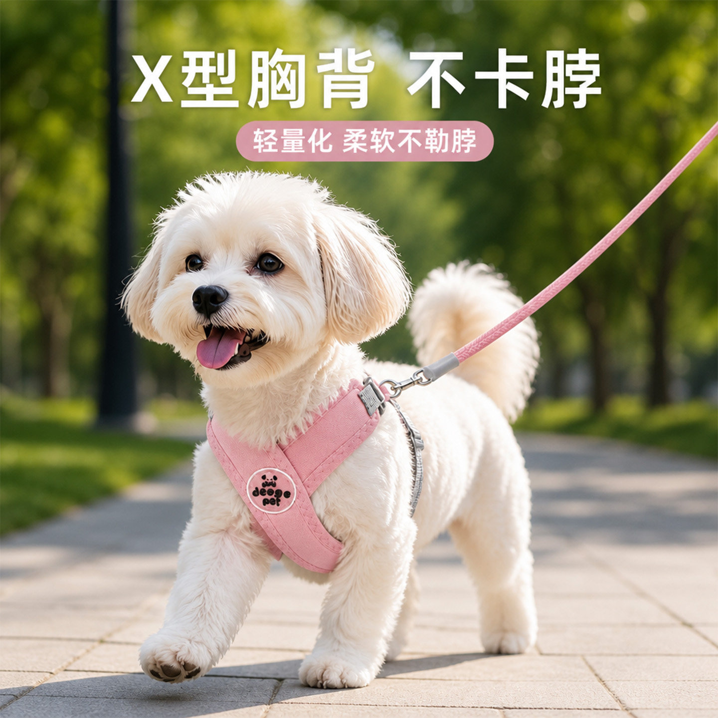 狗牵引绳小狗狗狗绳小型犬小狗绳子小型专用的泰迪狗中型犬遛狗用