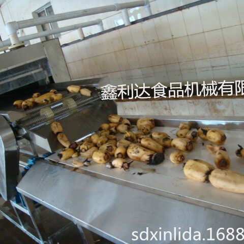 莲藕清洗设备莲藕清洗机洗藕机莲藕清洗去皮机