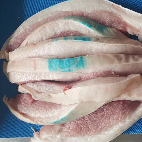 五花肉牛肉条机 海ZVT开鱼鸡鸭肉骨切块机厂家 肉鲜熟肉自带动切