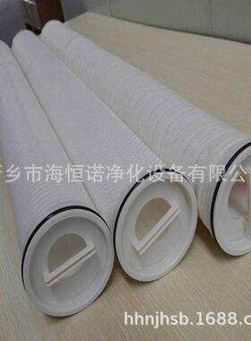 电厂冷凝水过滤芯RMHM-P050-40EPPP聚丙烯折叠式大流量水滤芯