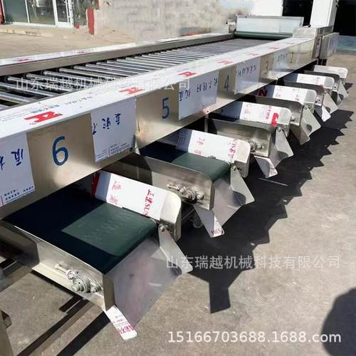 商用橙子分选机苹果选果机砂糖橘筛选设备大型滚杠水果分级机