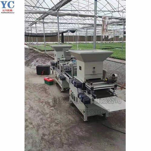 蔬菜播种机 穴盘播种机 每小时800盘 全自动西红柿辣椒茄子播籽机