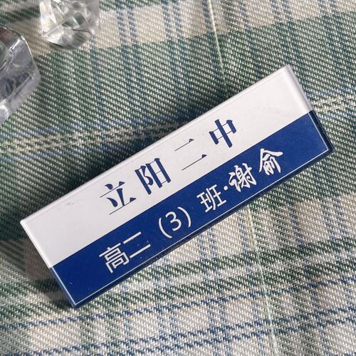 伪装学渣谢俞贺朝周边胸针校徽