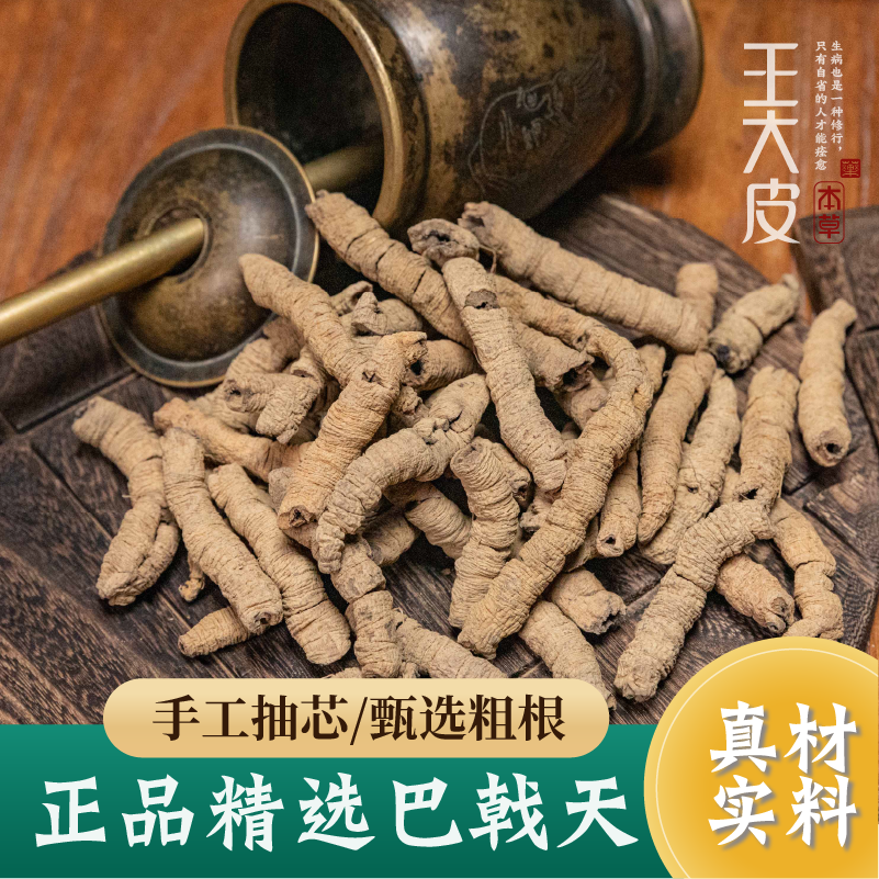 生巴戟天 道地高品质经方经典优质正宗原产地直邮新鲜