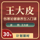 王大皮自学伤寒论 自学中医入门伤寒论实战方法大皮理解 伤寒论