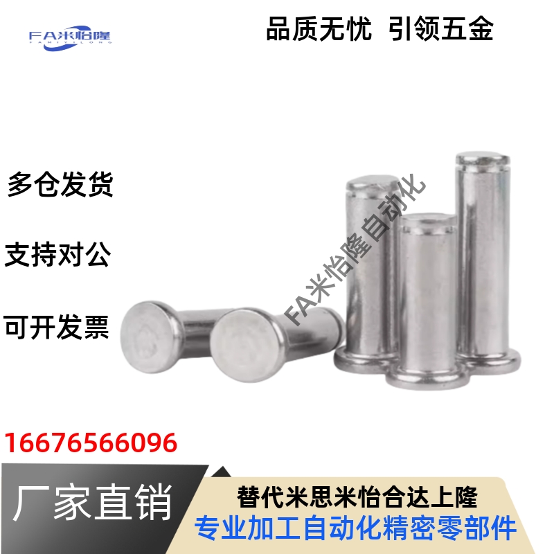 铰链销SHCCG SHCDG SHCCGH3 4 5 6 8 10-10 15 20 25 30CCG CCGH