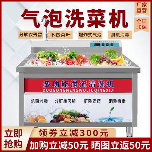 全自动洗菜机商用气泡洗菜机水果果蔬机气泡清洗机蔬菜商用洗肉机