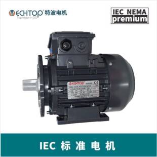 ECHTOP特波出口欧洲IEC标准铝壳电机欧盟CE/EAC认证TA132S2-2