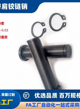 g6轴销钉平头带槽定位销卡簧圆柱销HCDG/MIC01-M3 M4 M5 M6 M8M10