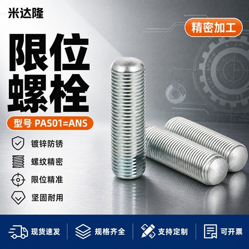 ANS带扳手槽型细牙调整螺栓PAS01