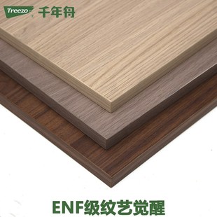 千年舟免漆板生态板ENF级18mm多层板全屋定制衣柜橱柜实木板材