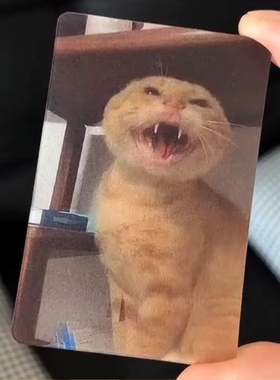 可爱抽象哈基米闪光变换幻影哈吉米可爱圆头小猫耄耋之年光栅卡