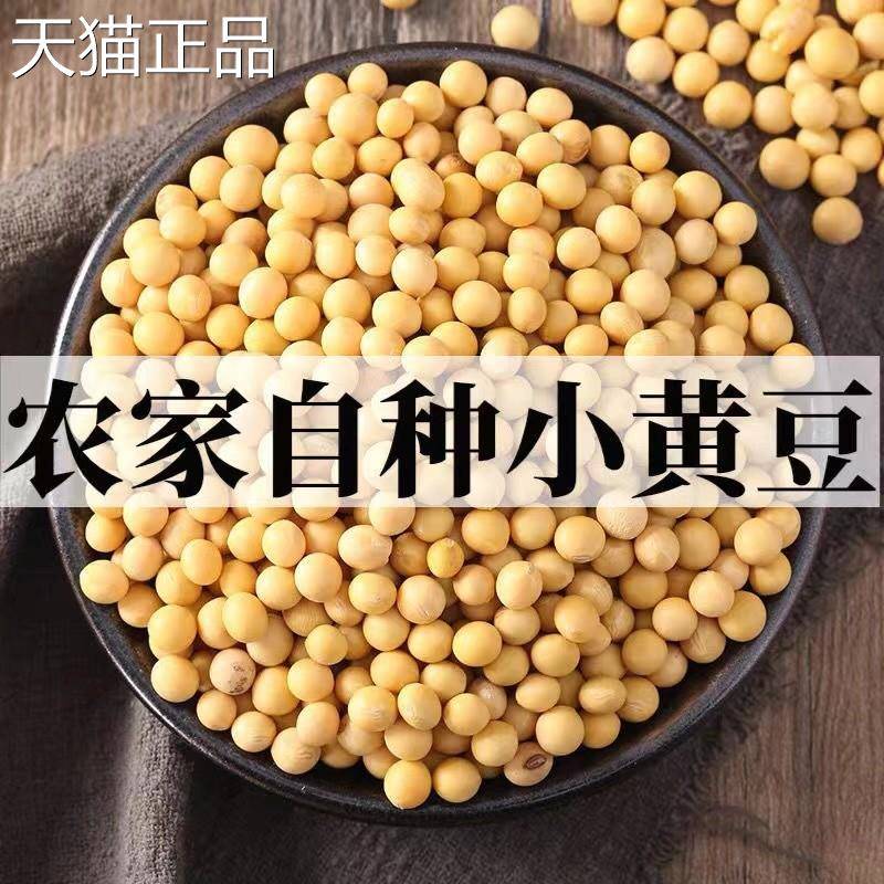 东北黑龙江黄豆农家自产大黄豆五谷杂粮豆类豆浆生豆芽黄豆