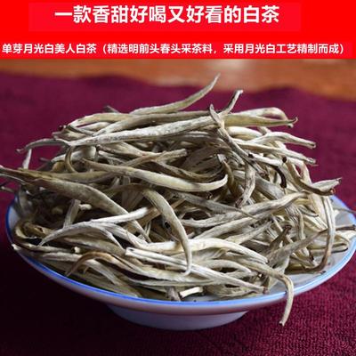 热卖单芽月光白美人白茶云南景谷大白茶白毫银针明前大树头春头采