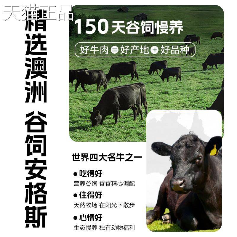 袋鼠先生澳洲安格斯牛排25g*5包脆原味热辣味追剧解馋牛肉片零食