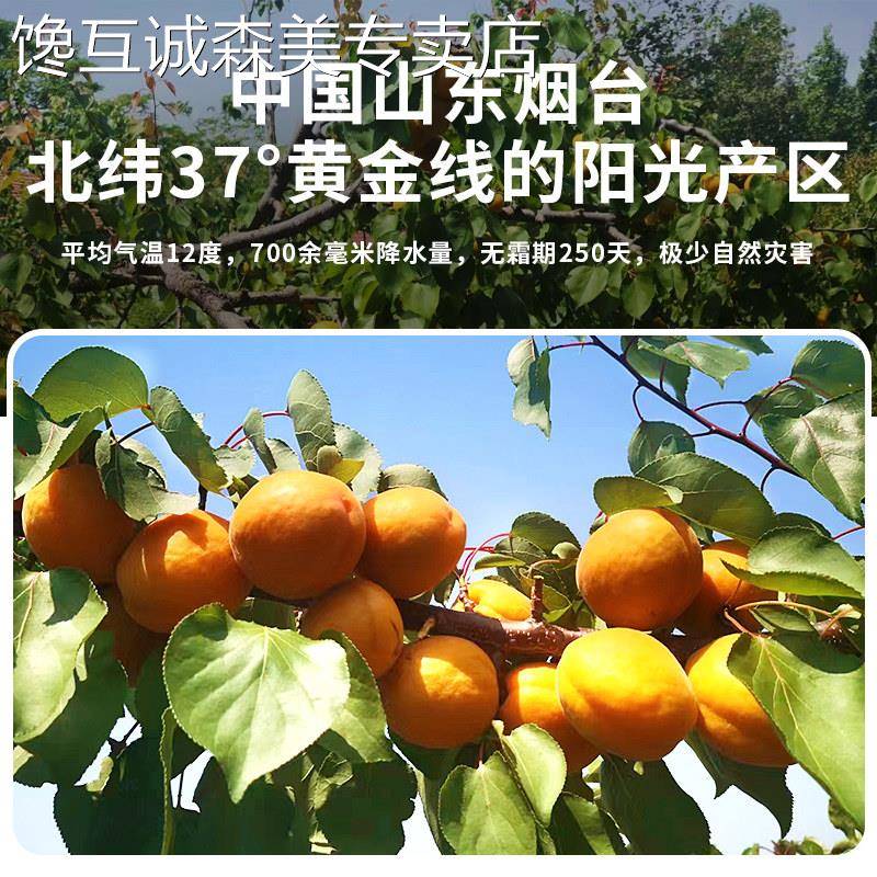 每果时光杏干500g杏脯非新疆杏肉果脯红杏干天然果干蜜饯休闲零食