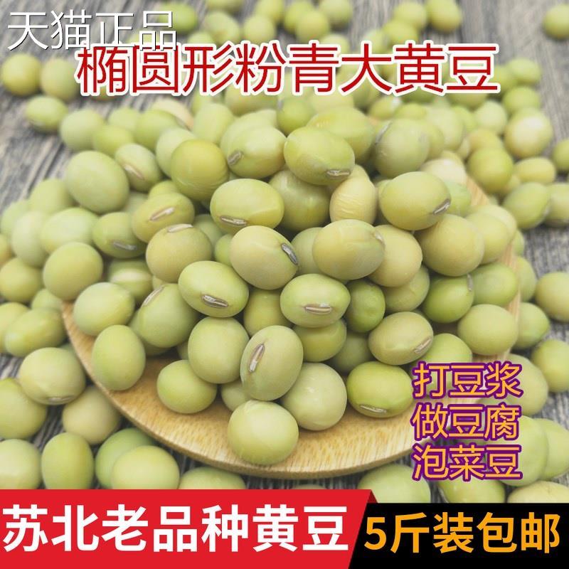 新黄豆5斤 农家自种粉青大黄豆新品正品老品种青大豆青皮黄豆包邮