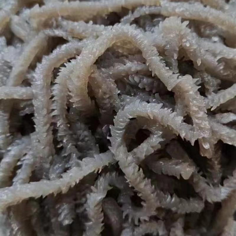 新货魔芋水爆肚0脂肪减代