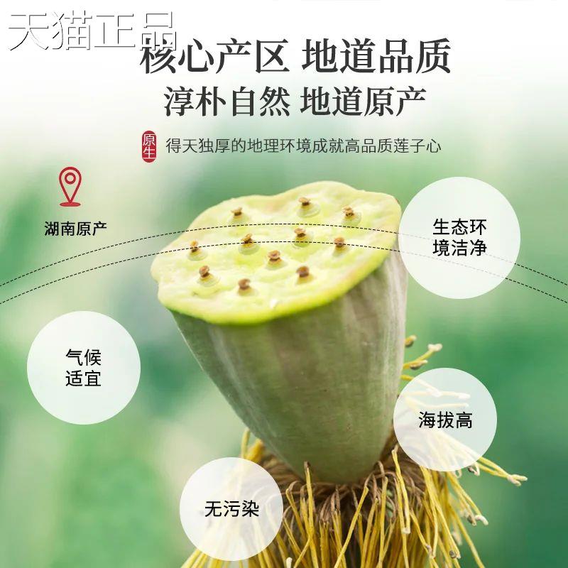 陈一凡莲子心 精选正宗福建建宁莲子心 莲心茶叶莲子芯降火花草茶