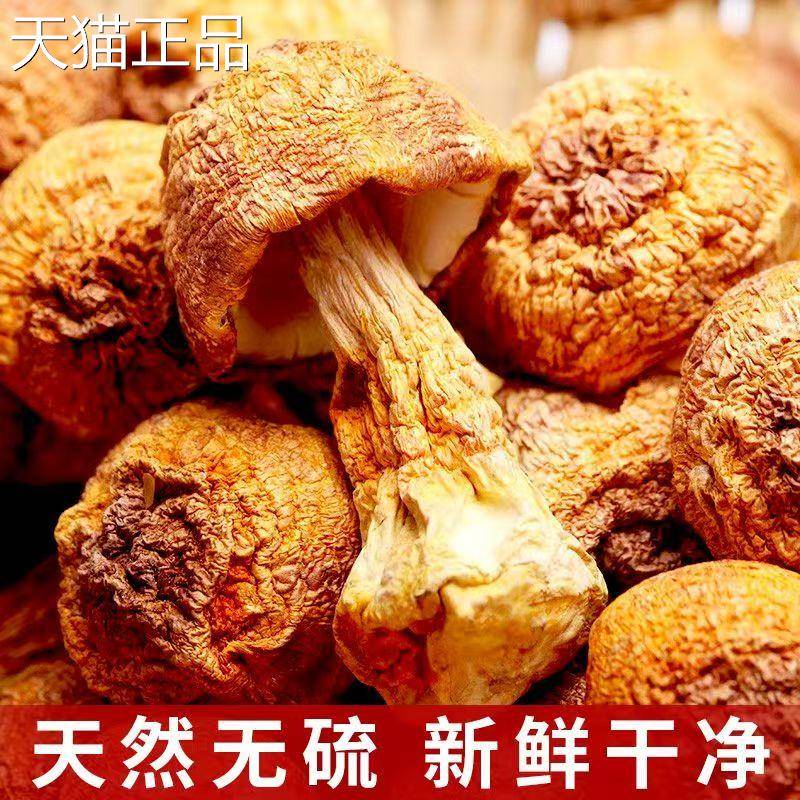 菌裕云南姬松茸干 干货500g无薰硫小菇巴西菇特产彷野生松茸当日
