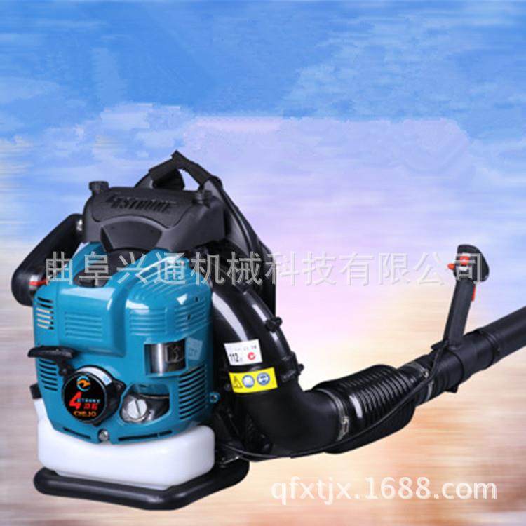 四冲程背负式吹雪机 大风力汽油吹风机 吹吸两用吹风机,农机/农具/农膜,林业机械,淘宝优惠券,粉丝福利购,淘宝优惠卷