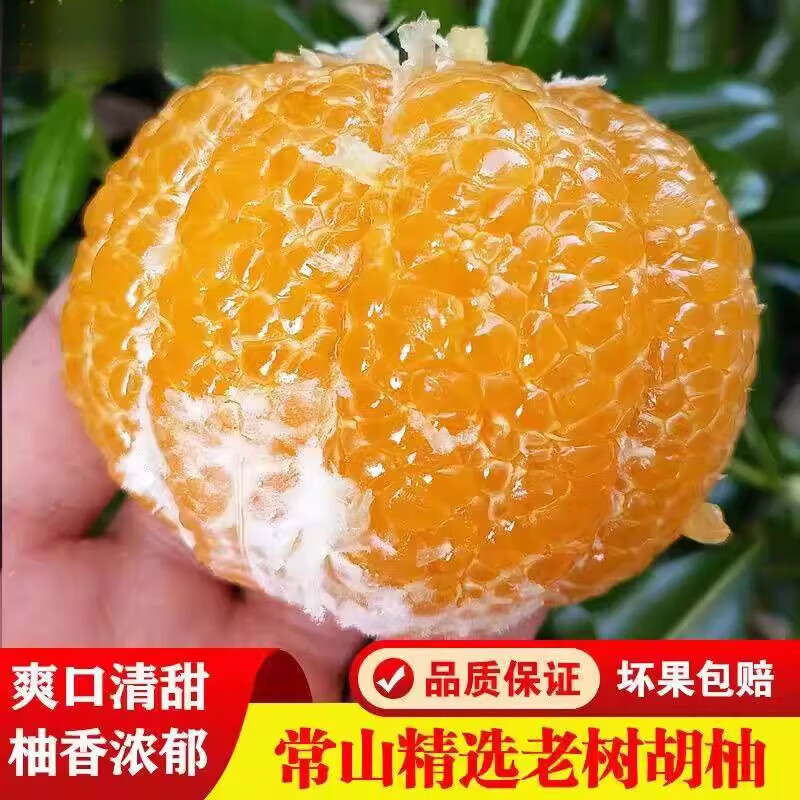 常山黄金胡柚正宗新鲜黄金柚子新鲜水果当季老人低糖水果老树胡柚