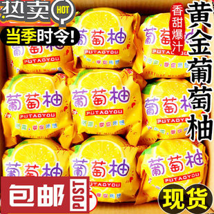 黄金葡萄柚爆汁新鲜柚子福建当季水果蜜柚应黄肉甜西柚黄金萄葡柚