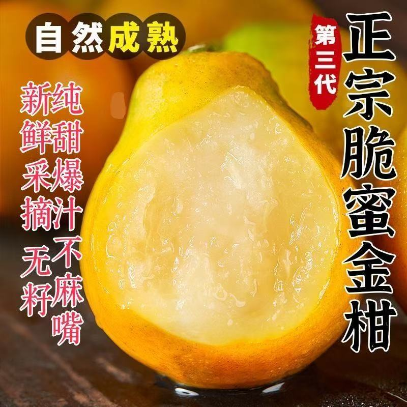 融安金桔新鲜广西小金桔水果当季黄皮金桔高山孕妇金桔大果可顺丰,水产肉类/新鲜蔬果/熟食,桔子,淘宝优惠券,粉丝福利购,淘宝优惠卷