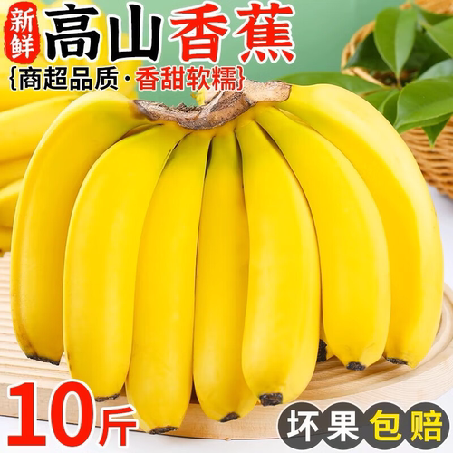 精选新款云南大香蕉新鲜正宗高山甜香蕉现摘当季新鲜水果整箱香蕉