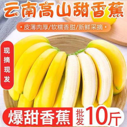 高山香蕉云南大香蕉自然熟香甜当季新鲜绿蕉水果整箱5/10斤蕉芭蕉