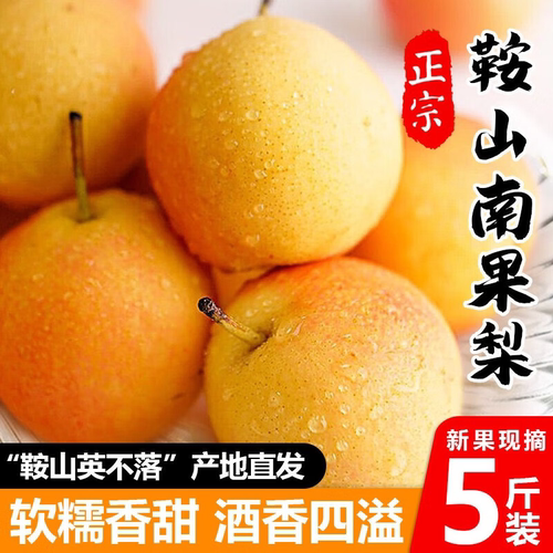辽宁鞍山南果梨东北当季酒香水梨子现摘新鲜酥脆南国梨特产梨水果