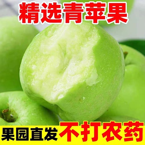 新鲜青苹果酸甜爽口小青果水果孕妇水果当季绿色现摘绿皮青苹果10