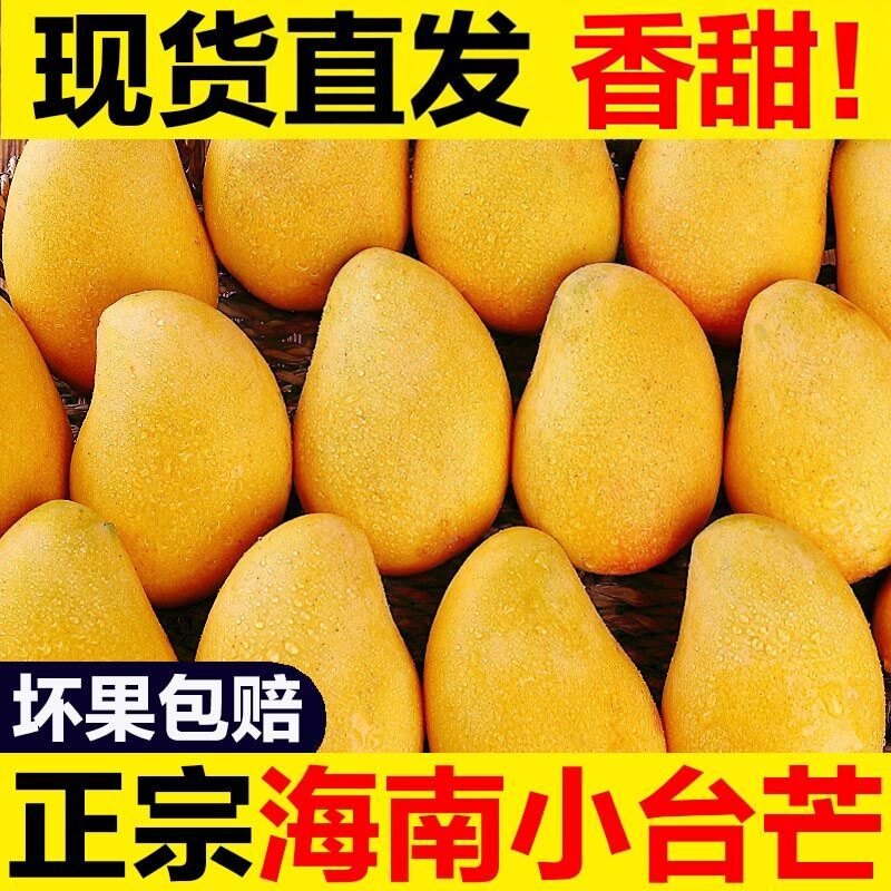 海南小台农芒果当季新鲜孕妇水果整箱可顺丰台芒果农芒整箱小皇芒
