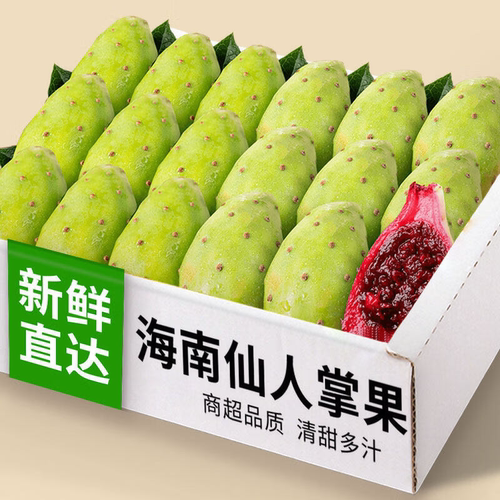 海南仙人掌果实新鲜红心仙桃可食用果实仙人掌果稀奇古怪热带水果