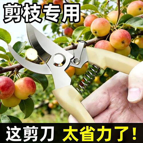 剪树枝剪刀专用花剪园艺园林修枝园丁剪嫁接强力采摘省力修水果树