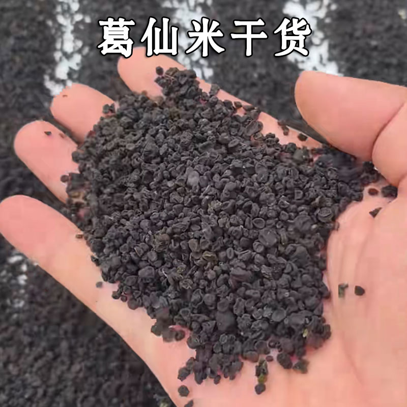 葛仙米干货正品颗粒均匀无杂质新货天然晾晒煲汤餐饮特色新品食材