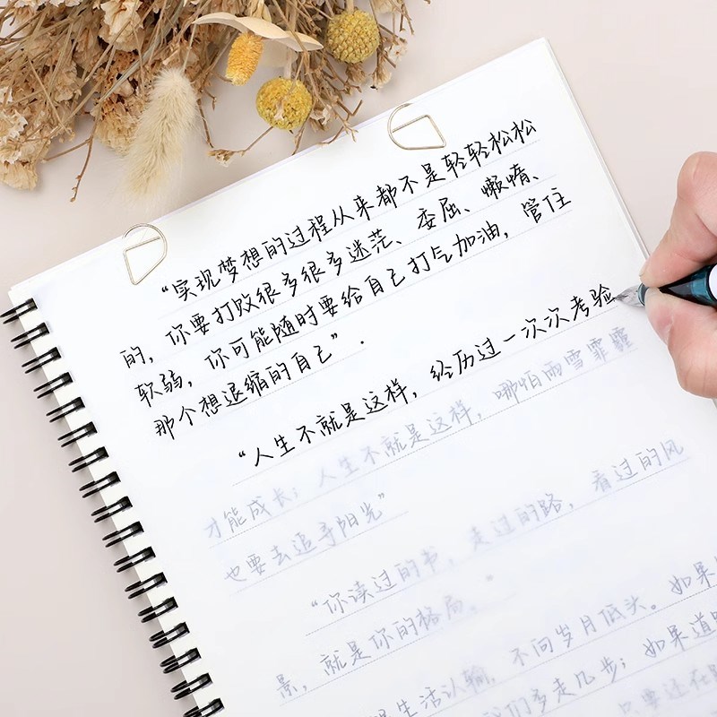 山茶体经典语录文案人生格言诗集作文行楷钢笔练字帖女生漂亮字体
