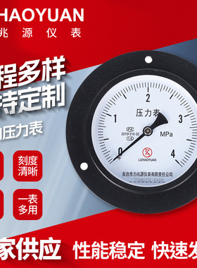 力兆源仪表厂Y100ZT轴向带边压力表耐高温腐蚀水压气压表