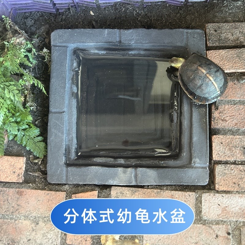 黄缘龟专用分体式水盆乌龟泡澡盆安缘喝水盘半水龟缸生态造景用品