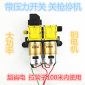 洗车器配件 喷雾器高压双泵 12v双核泵带壳 洗车水泵 双泵