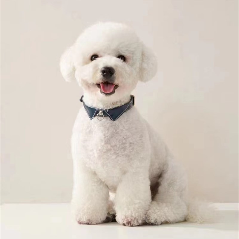 UFBemo狗狗项圈皮质狗脖圈宠物项圈牵引小型犬防丢猫项圈防窒息