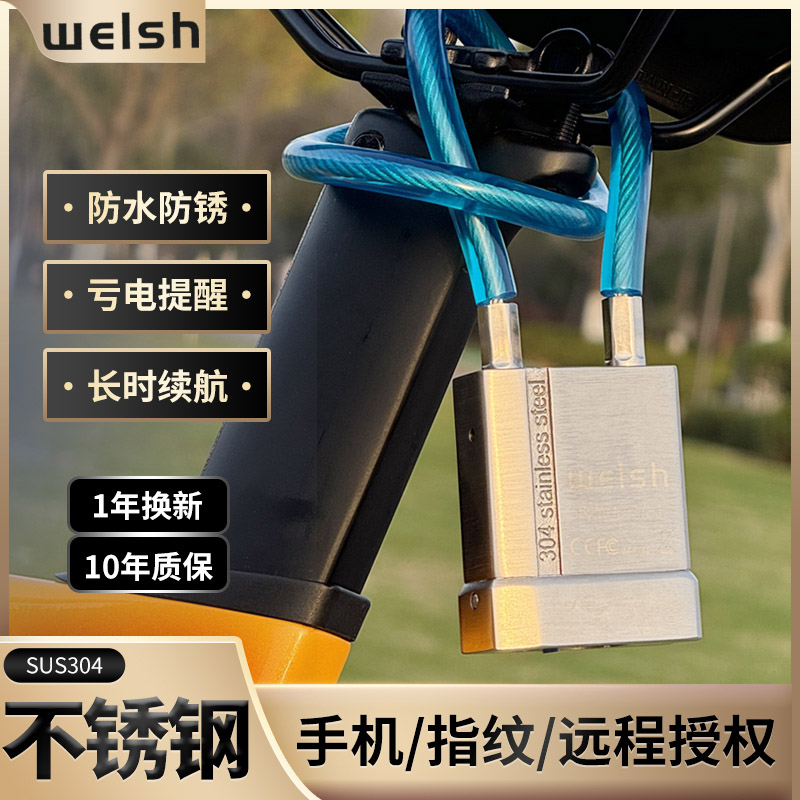 welsh指纹锁自行车锁防盗锁电子链条锁电动车锁仓库锁大门锁防锈