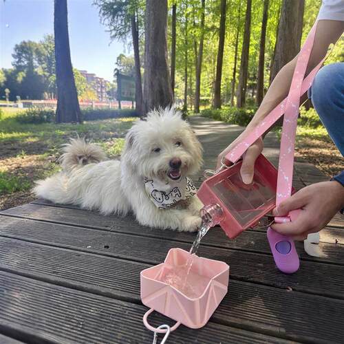 宠物折叠碗外出可携式狗狗喝水喂粮碗户外带挂钩猫咪矽胶随行水碗