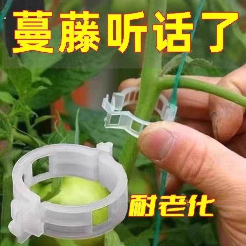 枝黄瓜丝瓜番茄扶蔓番茄吊秧绑植物固定夹绿植园艺爬藤蔬菜卡扣