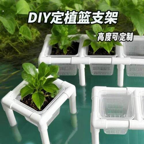 蝴蝶兰控根盆龟缸定植篮水培固定器三联绿植盆栽架