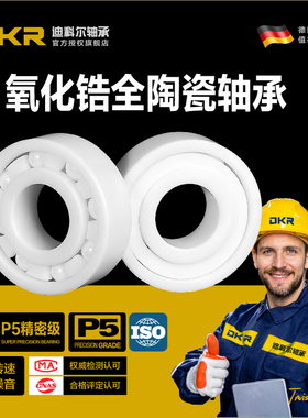 DKR德国16000氧化锆16001全陶瓷轴承16002薄壁16003 16004CE16005