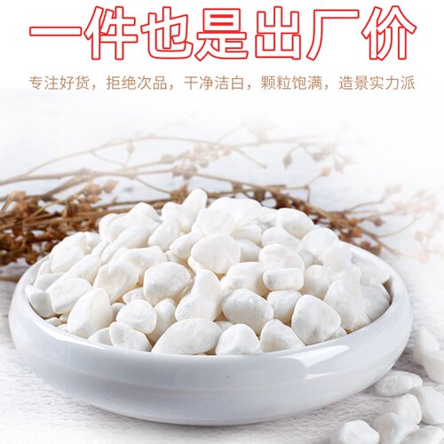 白石子铺地铺路50斤装造景石子白色石子小白石头景观庭院大鹅卵石 - 封面
