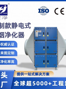 定制工业油烟食品金属加工橡胶制品行业新能源废气处理餐饮酒店