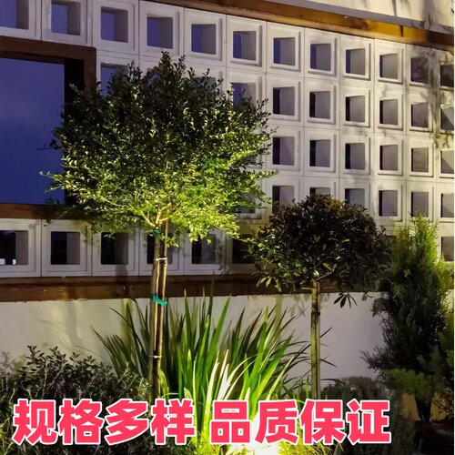 双面空心砖网红砖隔断装饰艺术造型水泥构建砖多孔砖别墅庭院镂空