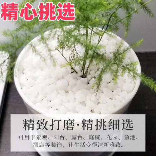 石子铺地白色石子景观大鹅卵石铺路白石子小白石头50斤装庭院造景
